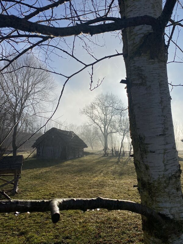 Bild vom Steinzeithaus in der Morgensonne