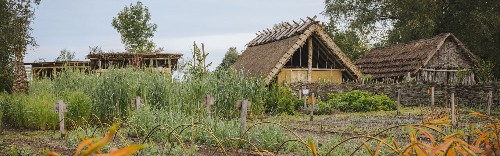 Die Steinzeithäuser