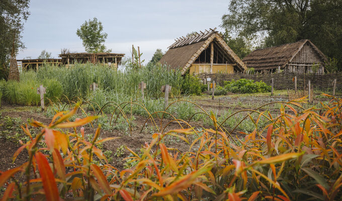 Impressionen aus unserem Steinzeitdorf