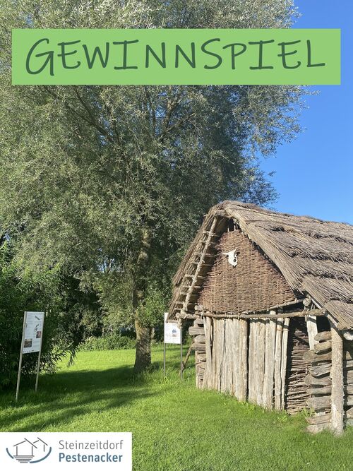 GEWINNSPIEL - Techniken der Steinzeit