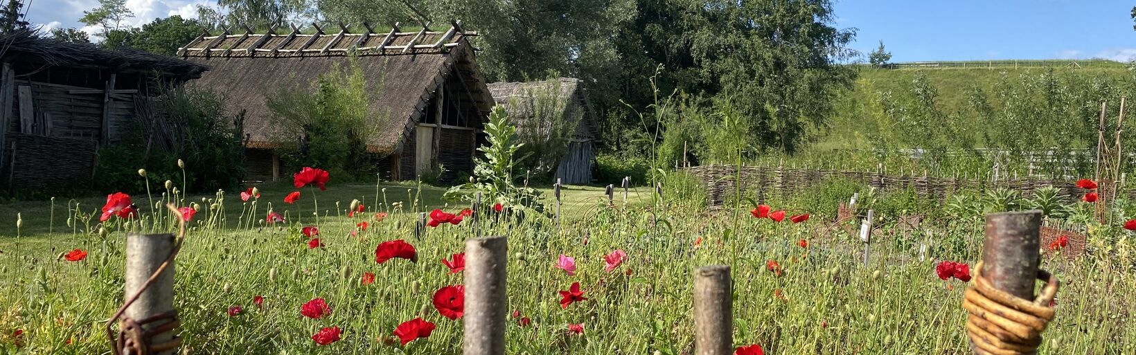 FAQ – Häufig gestellte Fragen