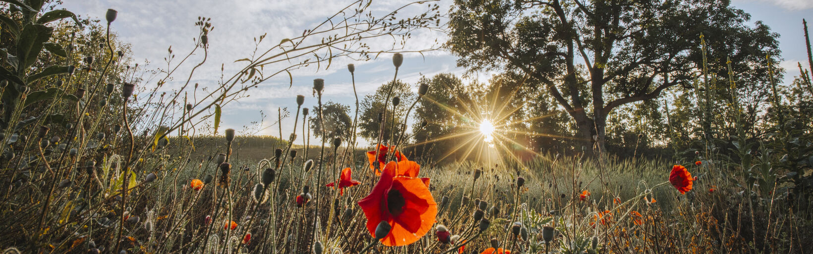 #FragederWoche (2024)