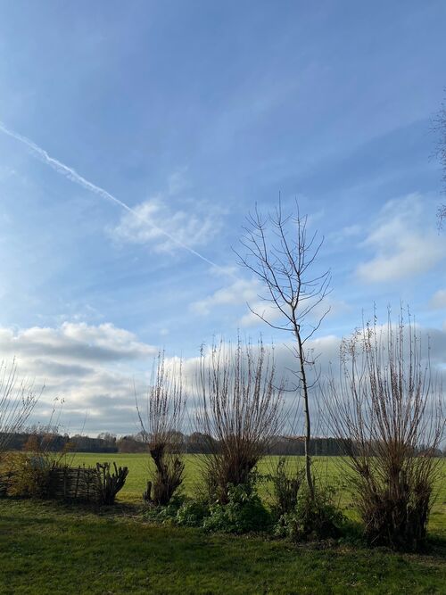 Weidenernte im Steinzeitdorf